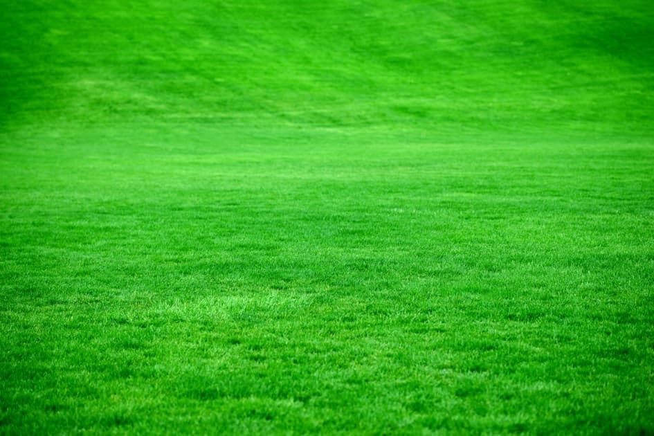 Lawncare Gwinnet County